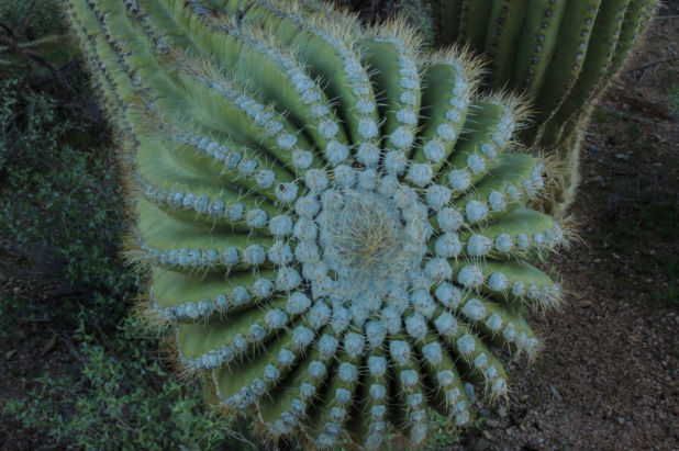 Materials & Circular Economy Issue Committee