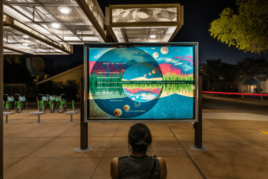 Art in Public Places