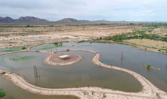Mar 5 & Gila River Interpretative Trail (President's Award Recipient)