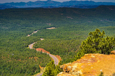 STATEWIDE SUSTAINABILITY ROADMAP