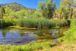Verde River Waterways