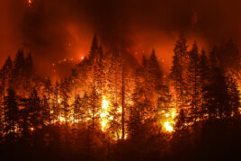Wildfires