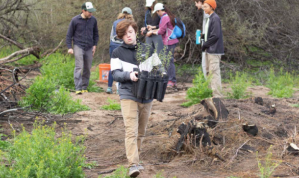 Lower Salt River Riparian Restoration Project