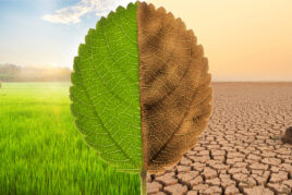 Climate Action Solutions