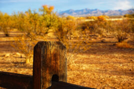 Natural Environment Preservation