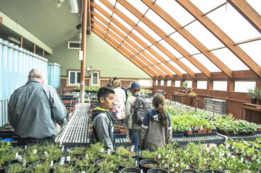 Flagstaff’s Carbon Neutrality Plan