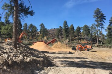Coconino County Forest Restoration Initiative