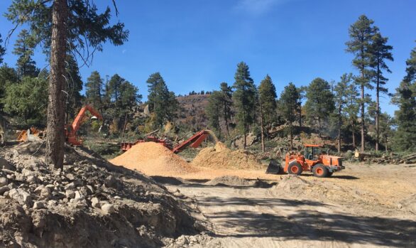 Coconino County Forest Restoration Initiative