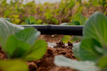 Innovative Water Conservation and Sustainability Partnership