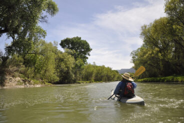 Ensuring the Health of the Verde River for People and Nature: First-ever Report Card