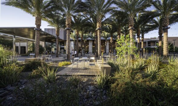 Arizona State University Orange Mall Green Infrastructure