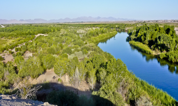 Yuma East Wetlands