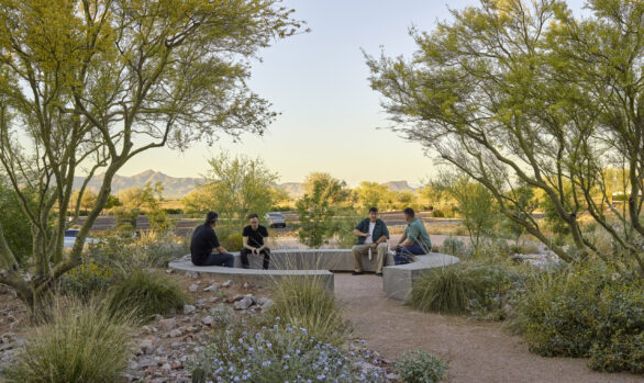 Cloud Song: Scottsdale Community College Business School & Indigenous Cultural Center