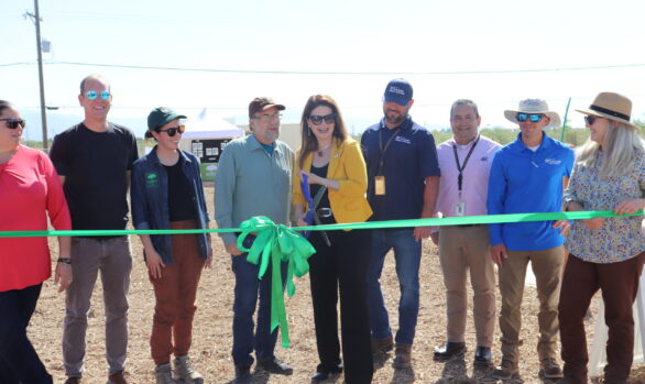 City of Tucson T.R.E.E. Center